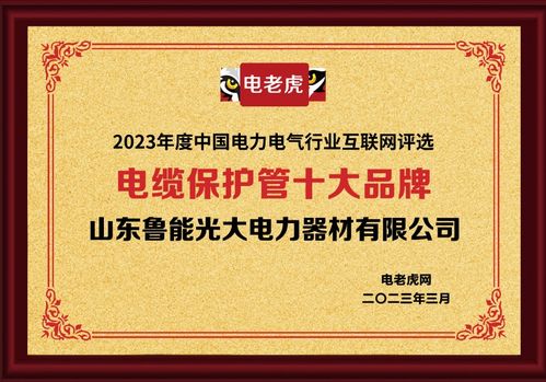 山東魯能光大電力器材榮獲“電纜保護(hù)管十大品牌”稱號(hào)，助力鋼材市場(chǎng)服務(wù)升級(jí)